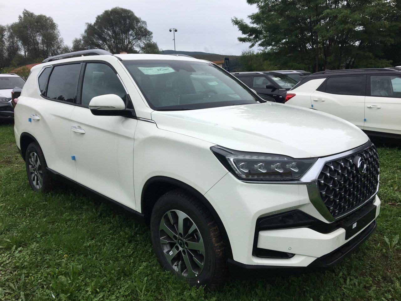 REXTON 66493