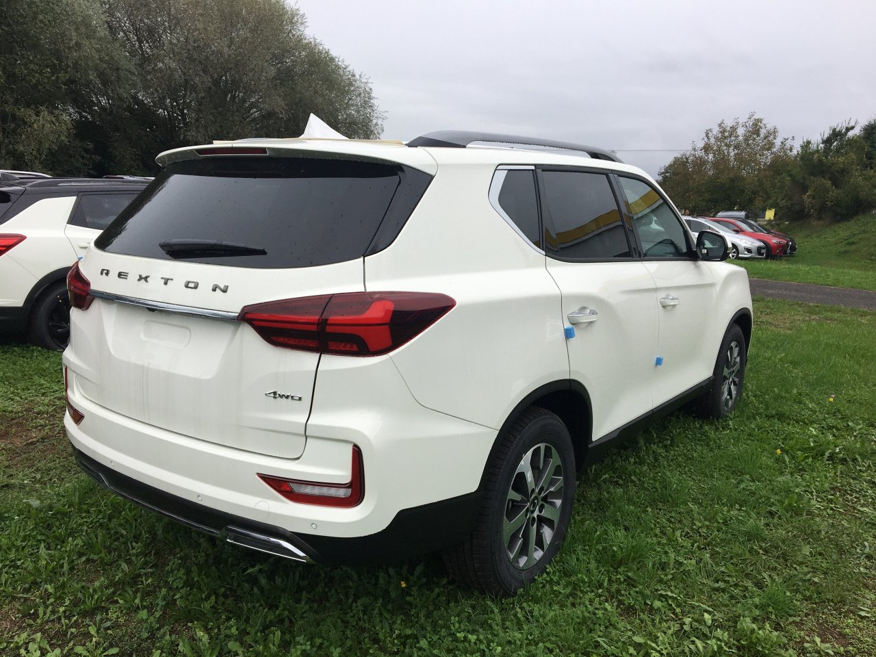 REXTON 66493