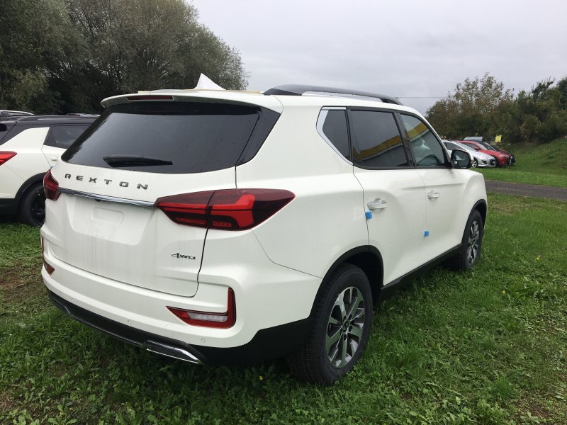 REXTON 66493